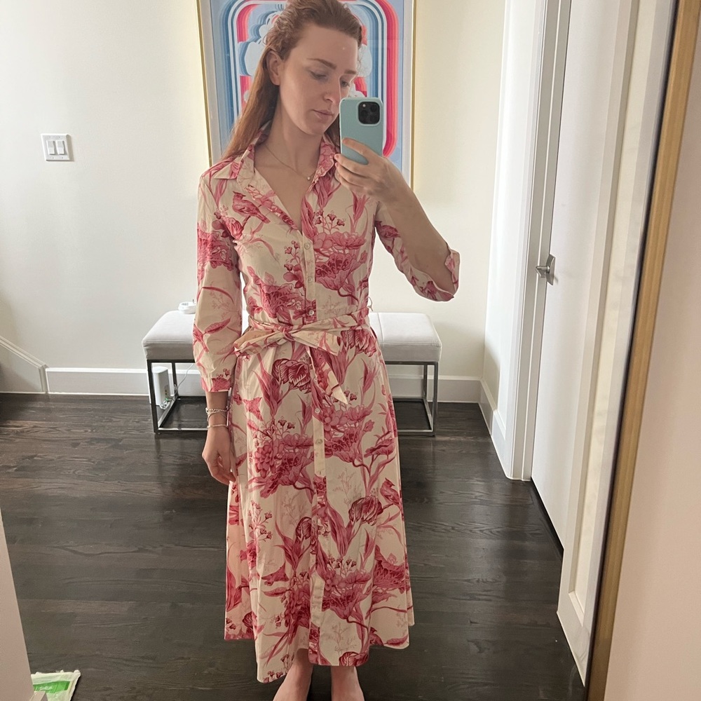 Zara dress